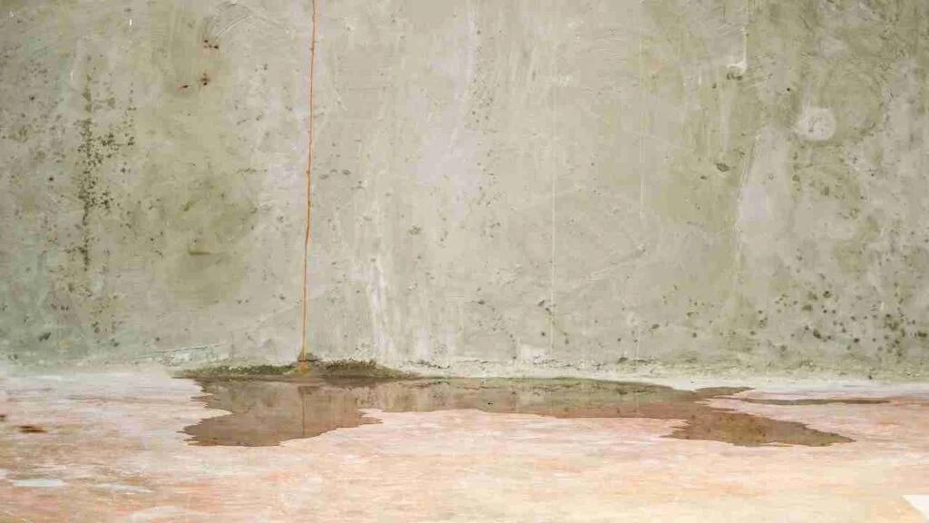 HOW TO REMOVE SALT AND WATER STAINS ON FLOORING