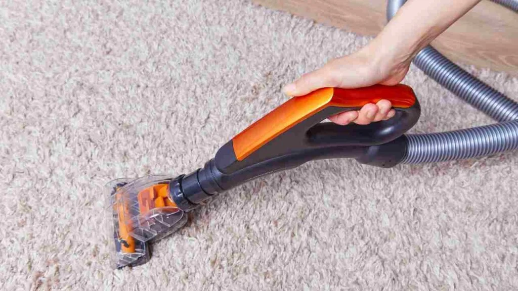 Can You Use Portable Carpet Cleaner Solution in Upright