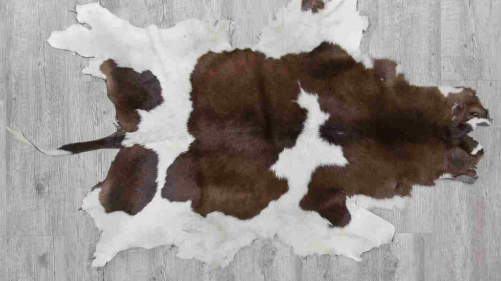 How to Clean Cow Skin Rug