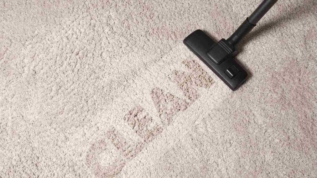 Portable vs Upright Carpet Cleaner Formula