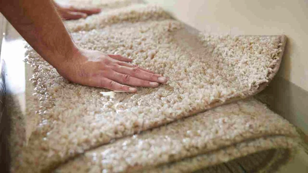 Can You Clean Carpet With Dish Soap