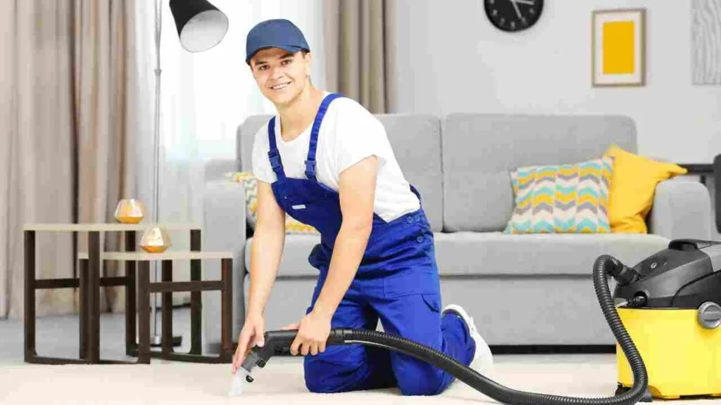What Do Professionals Use to Clean Carpets
