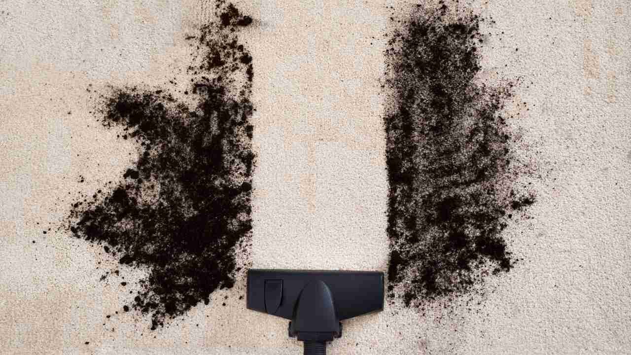 Cleanovation Rug Renovator Carpet Cleaning Brush