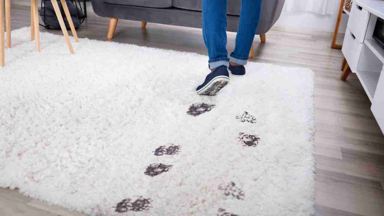 Can You Use Carpet Cleaner on Shoes