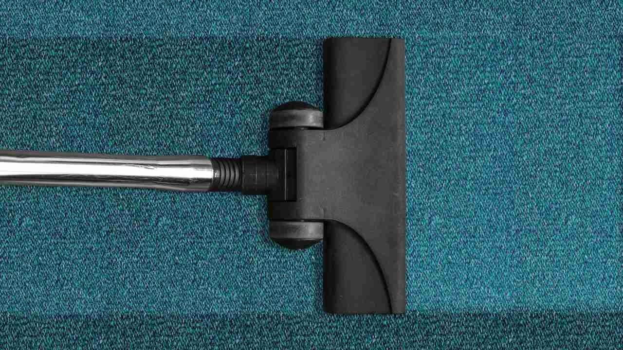 Carpet Cleaning to Pass Black Light Test