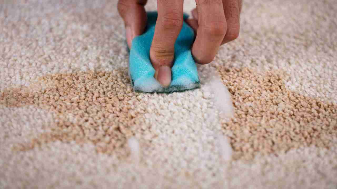 How to Clean Carpet by Hand