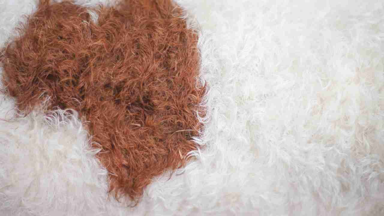 How to Clean a White Fur Rug