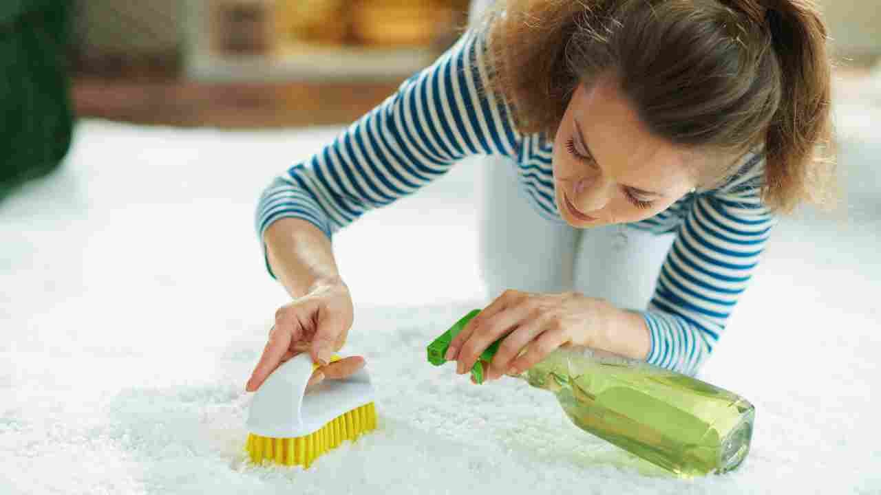 Can You Clean Carpet With Bleach? Cleaninup