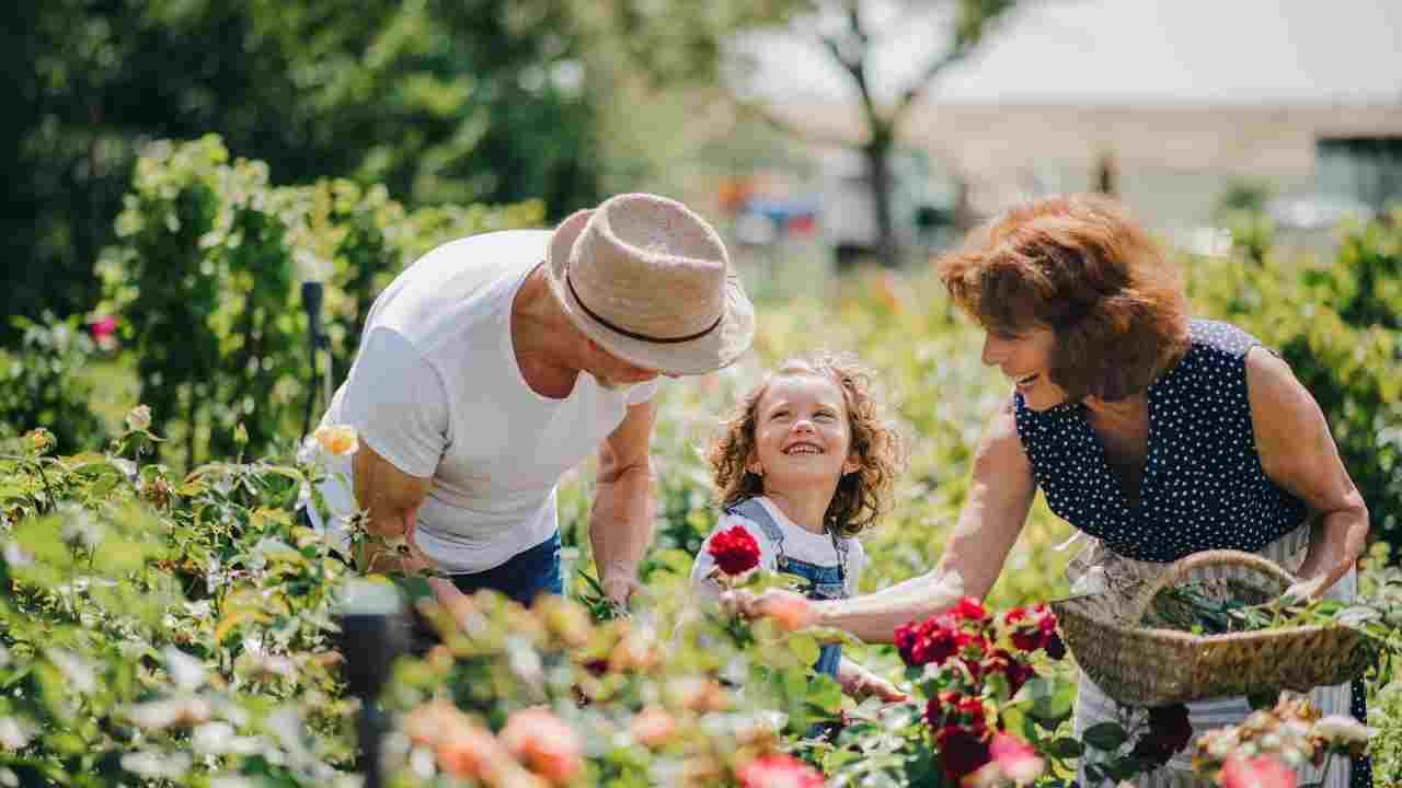 How to Clean Flowers From Garden