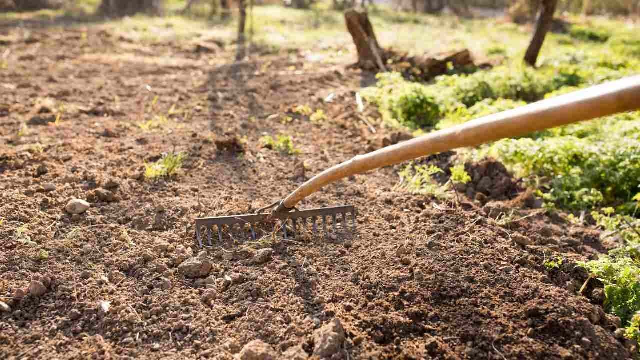 How to Clean Garden Soil