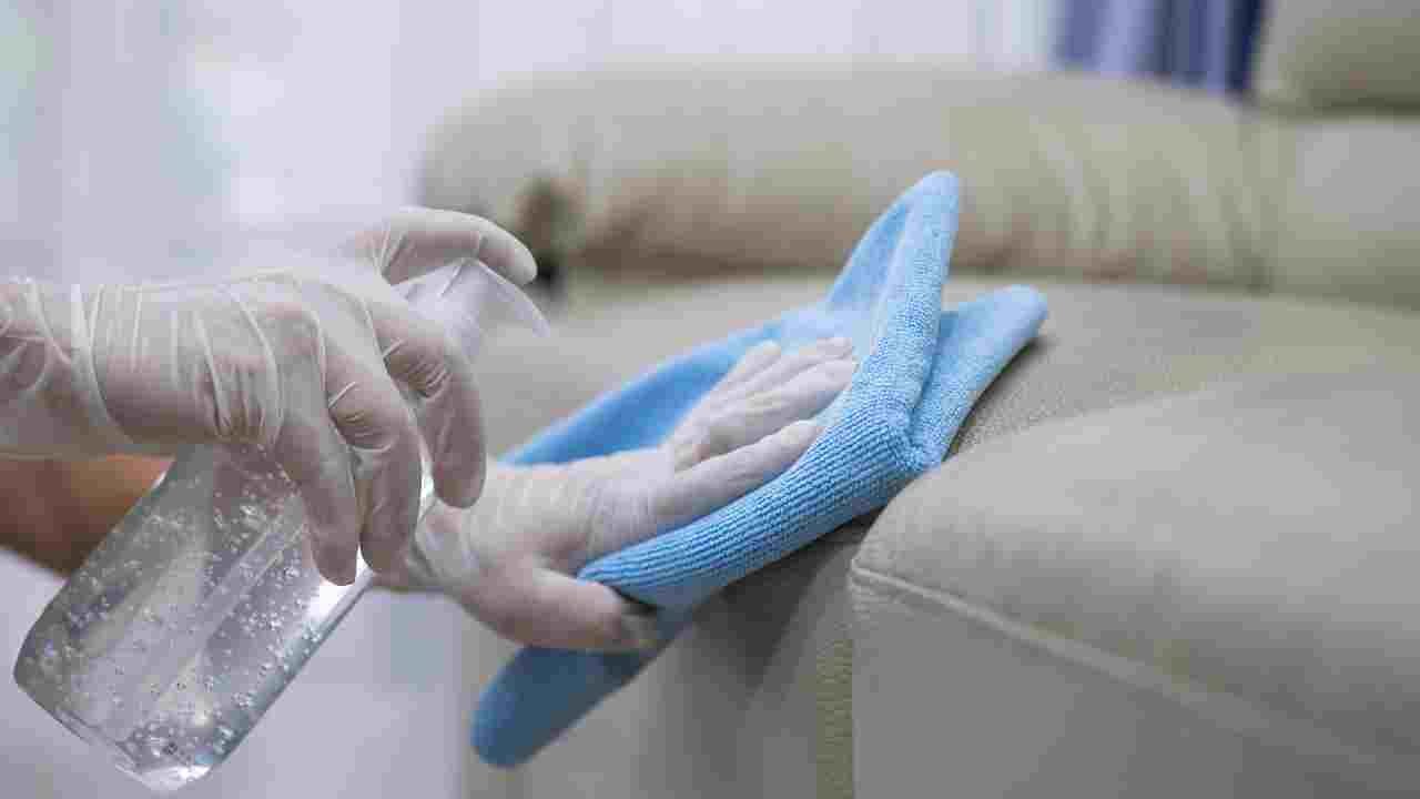 How to Clean Silk Sofa? Cleaninup