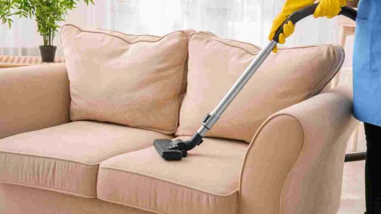 how-to-clean-silk-upholstery-cleaninup