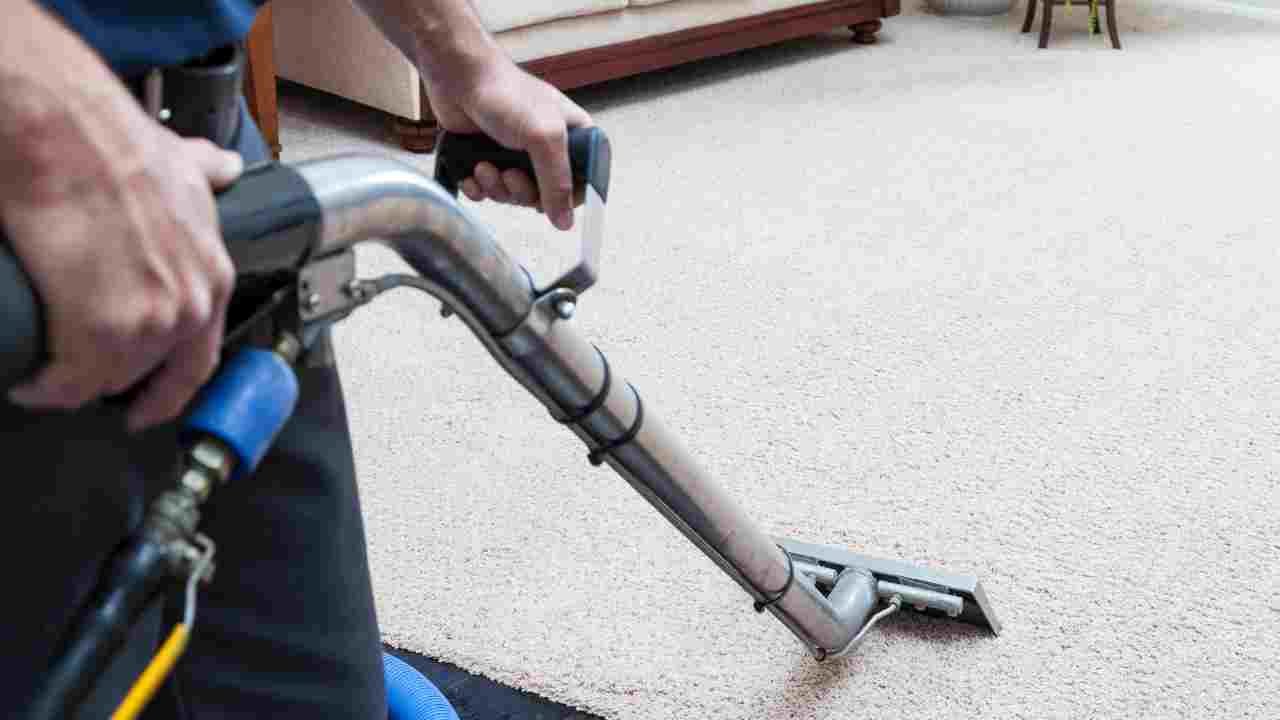 When to Steam Clean Carpets