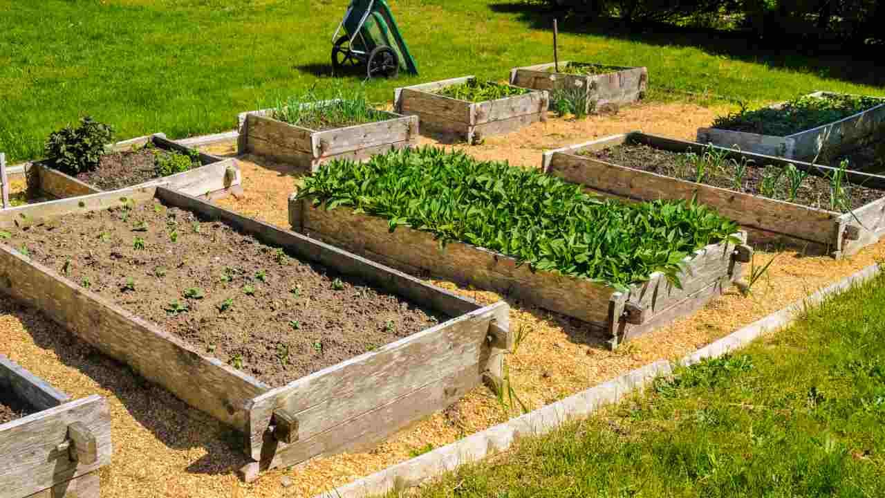 how to clean garden beds