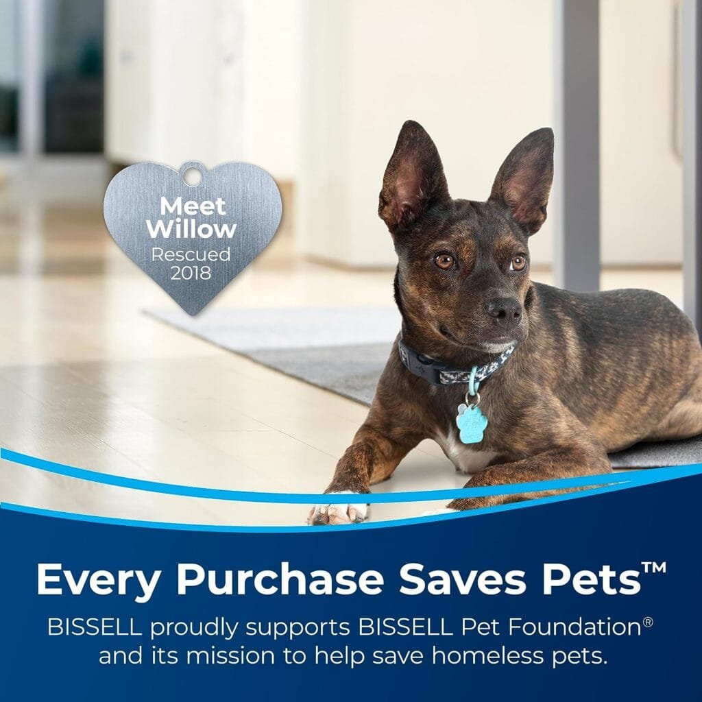 Bissell Little Green Pet Deluxe Portable Carpet Cleaner and Car/Auto Detailer, 3353, Gray/Blue