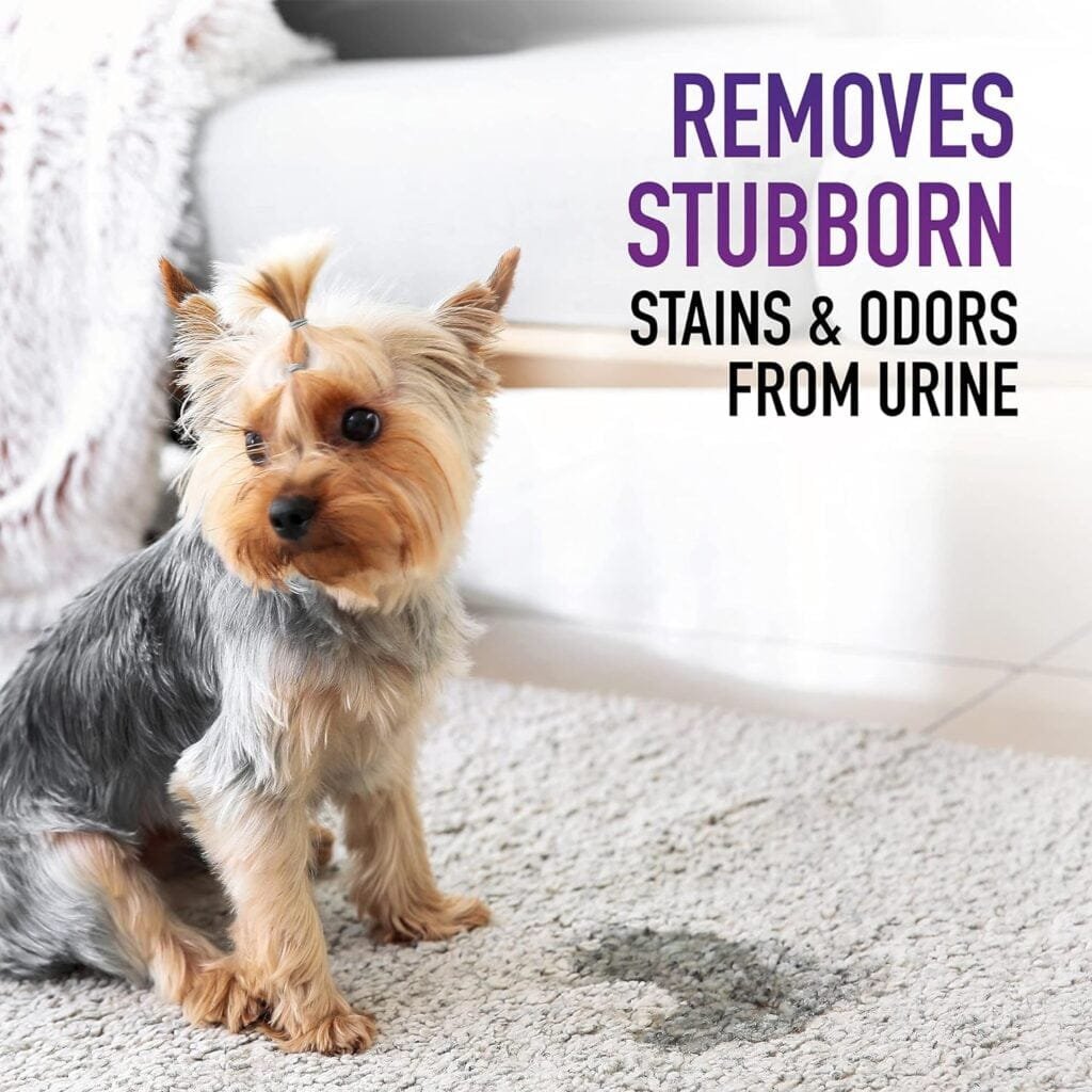 Hoover Pet Carpet Cleaning Solution, Deep Cleaning Shampoo Formula, AH30933, White, 128 fl oz, Package May Vary