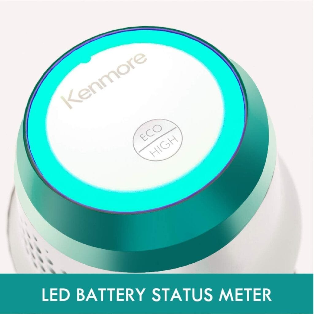 Kenmore DS1020 Vacuum Review Cleaninup