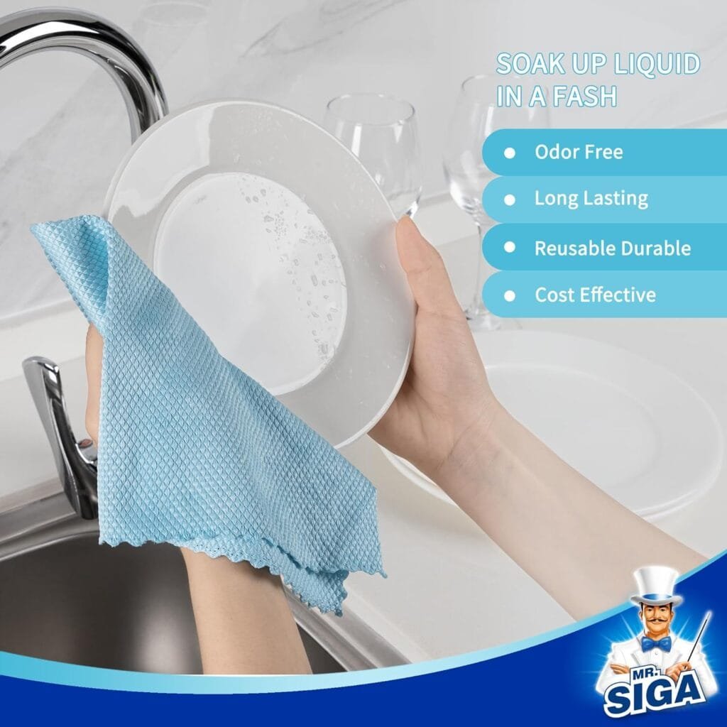 MR.SIGA Fish Scale Cleaning Cloth Review Cleaninup