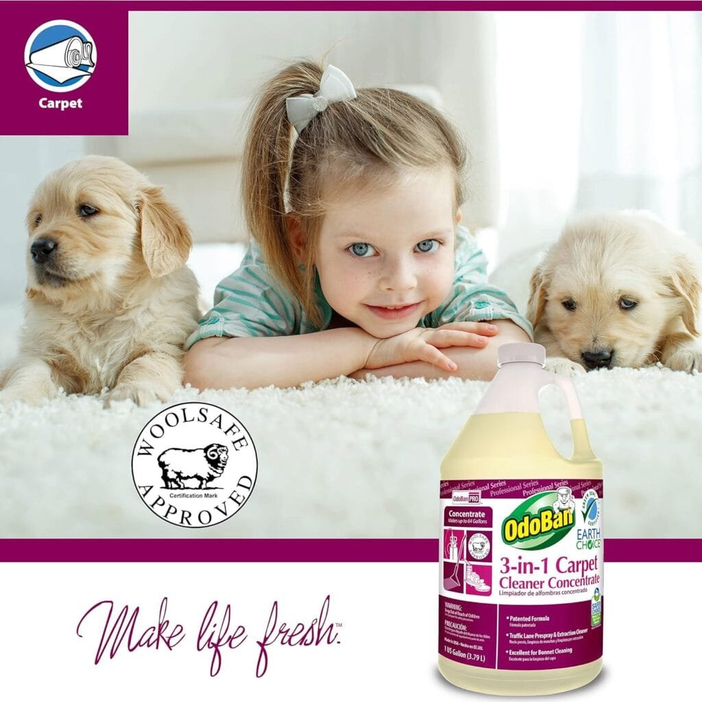 OdoBan Professional Series Cleaning 3-in-1 Carpet Cleaner Concentrate, Set of 2, 1 Gallon Each