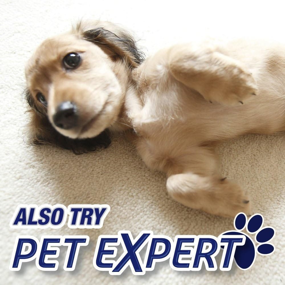 Resolve High Traffic Carpet Foam, Crisp Linen, Cleans Freshens Softens  Removes Stains, 22 Ounce (Pack of 4)